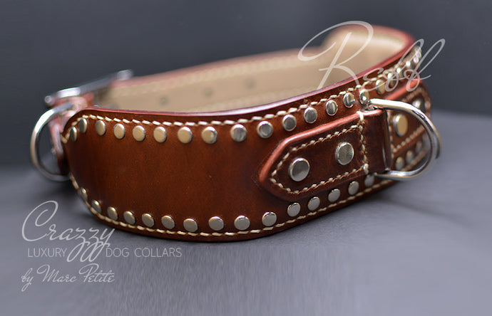 Extra Large Leather Dog Collar Crazzy Rebb