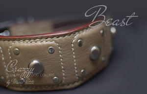 Leather collar