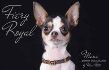 Load image into Gallery viewer, Jeweled Dog Collar for toy