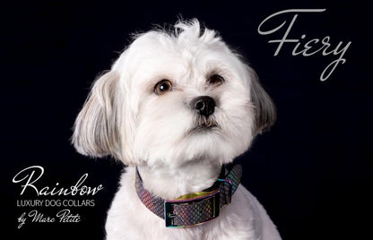 Maltese dog collars