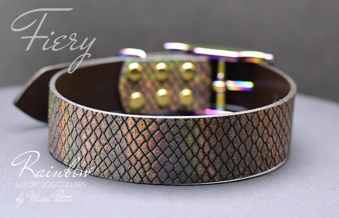 Holographic leather dog collar
