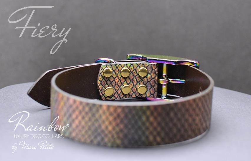 Designer dog collars