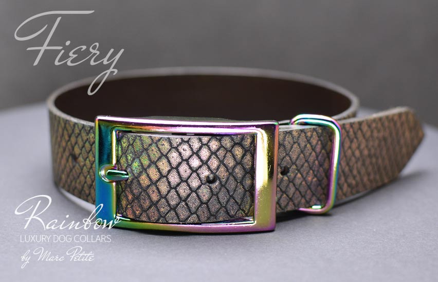 Fashion dog collar