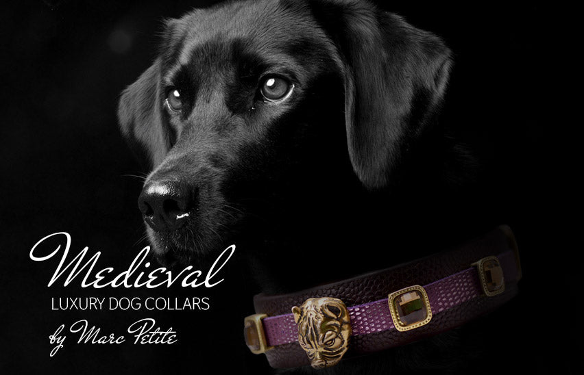 Designer Dog Collars by Marc Petite