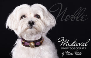 Luxury dog collar