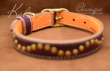 Charger l&#39;image dans la galerie, quality dog collar