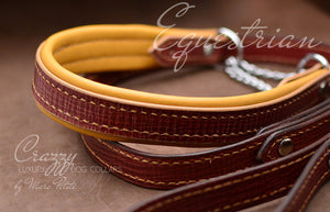 Elegant, extra strong & durable martingale collar for middle, large & extra large breeds