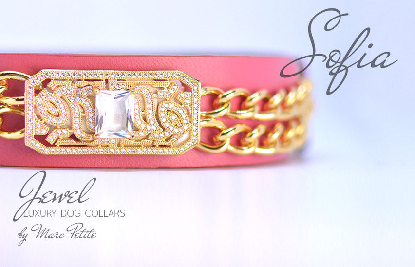 Designer Dog Collar - Rose 24K Gold - Marc Petite