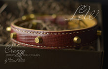 Load image into Gallery viewer, High-End Leather Dog Collar with Spikes