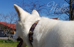Husky Leather Dog Collar