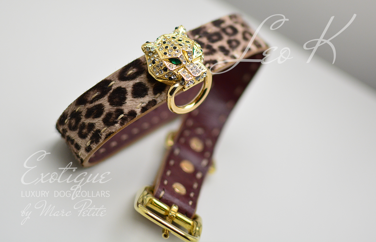 Exotique Dog Collar