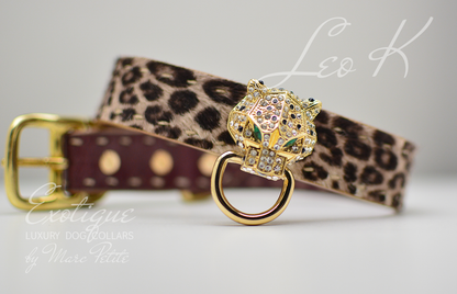 Leopard Dog Collar