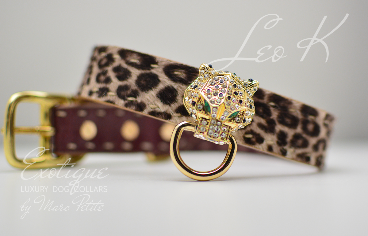 Leopard - Exotic Leather Dog Collar – Marc Petite