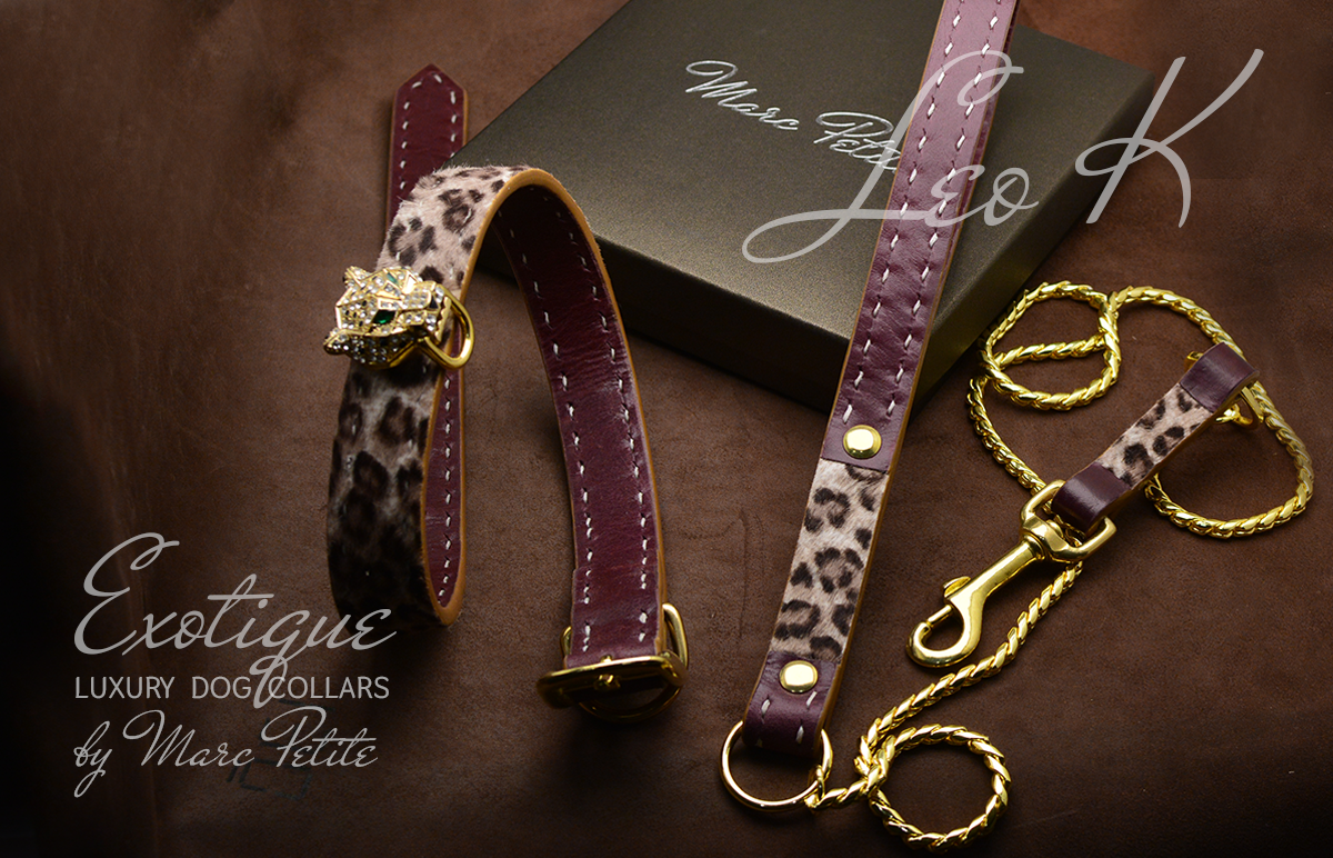 Leopard dog online collar and leash