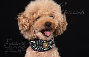 Luxury Dog Collar