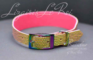 Fashion dog collar