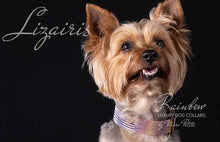 Load image into Gallery viewer, Collars for yorkie