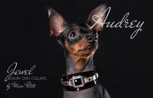 Charger l&#39;image dans la galerie, Exclusive Dog Collar