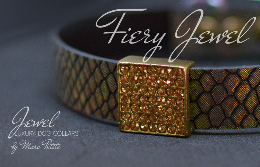 Luxury Fashion Dog Collar by Marc Petite
