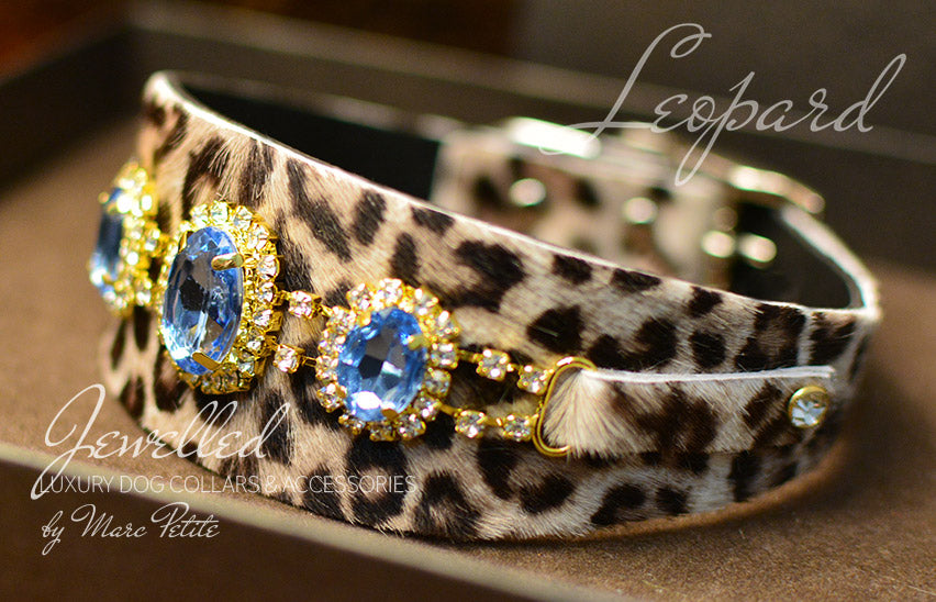 Exotic leather dog collars deals
