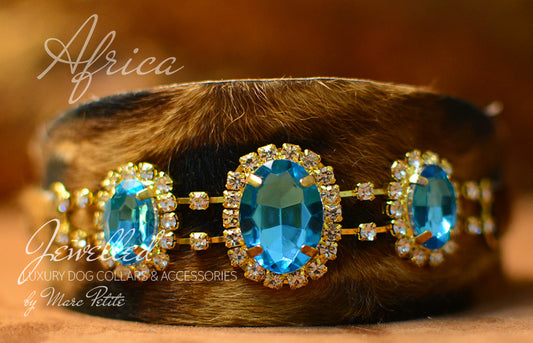 Leopard Dog Collar