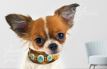 Charger l&#39;image dans la galerie, Chihuahua Dog Collars