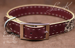 Exclusive Dog Collar