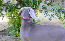 Load image into Gallery viewer, dog collar and matching leash