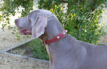 Load image into Gallery viewer, Designer Dog Collars Swarovski