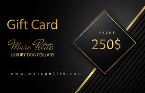 Carte-cadeau 250 $