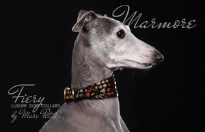 Greyhound collar