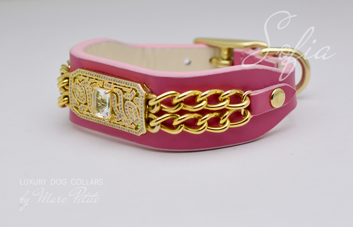 Designer Dog Collar with chain