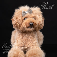 Charger l&#39;image dans la galerie, Grey Velvet Dog Hair Bow