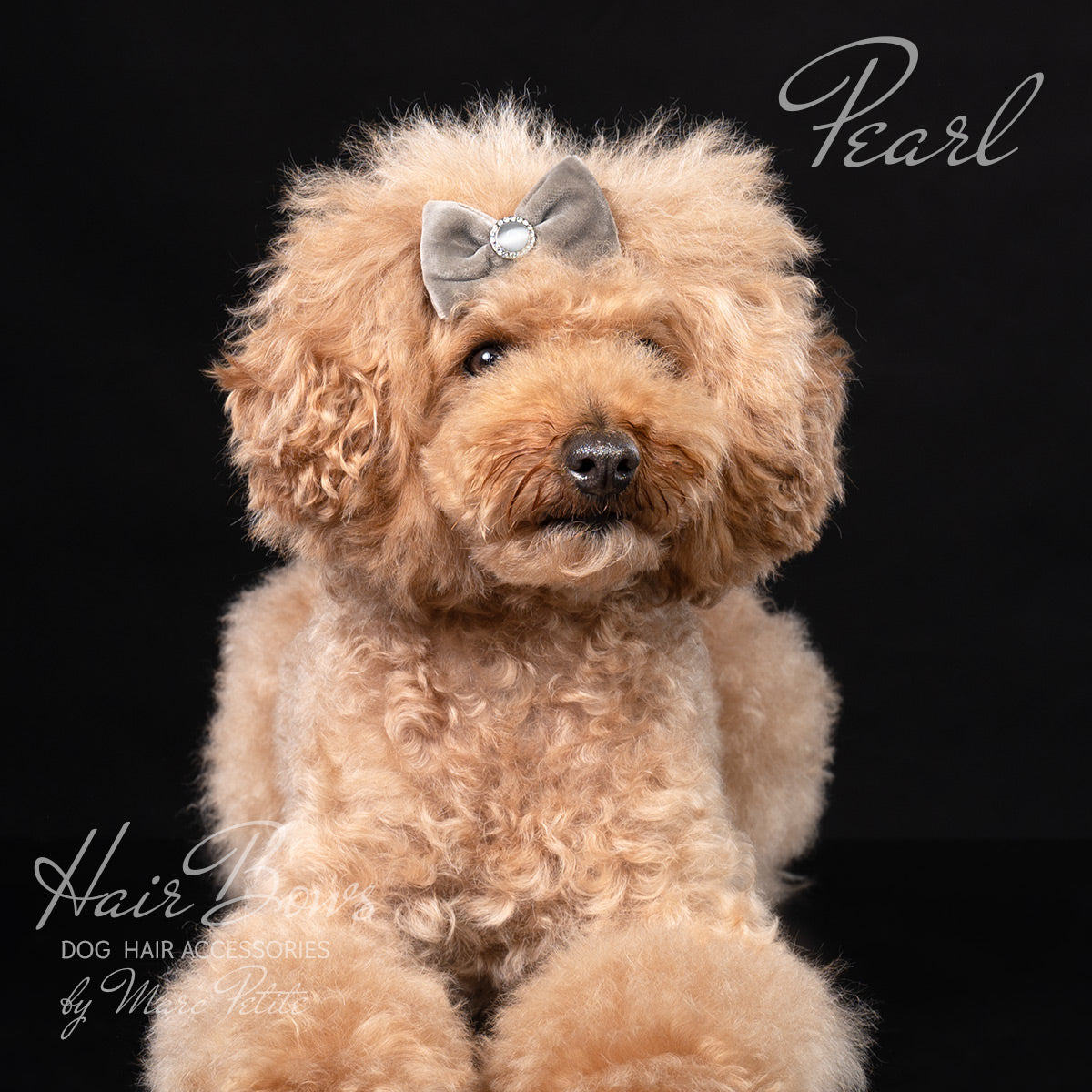 Grey Velvet Dog Hair Bow