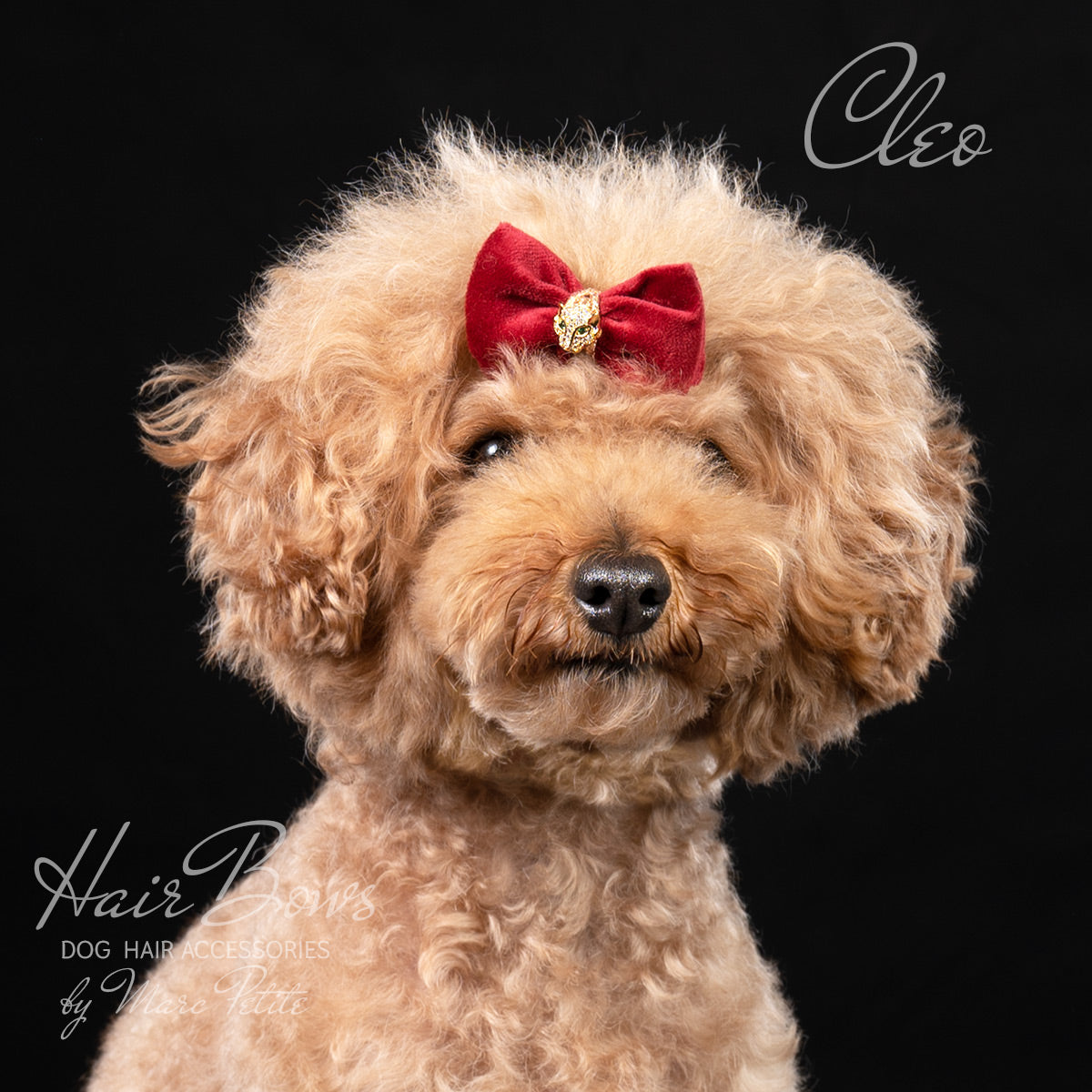 Red Dog Hair Bows