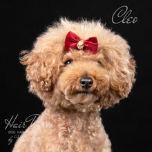 Load image into Gallery viewer, Red Dog Hair Bows