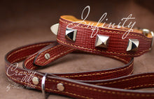 Load image into Gallery viewer, Elegant Luxury Dog Collar