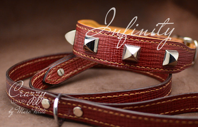 Elegant Luxury Dog Collar