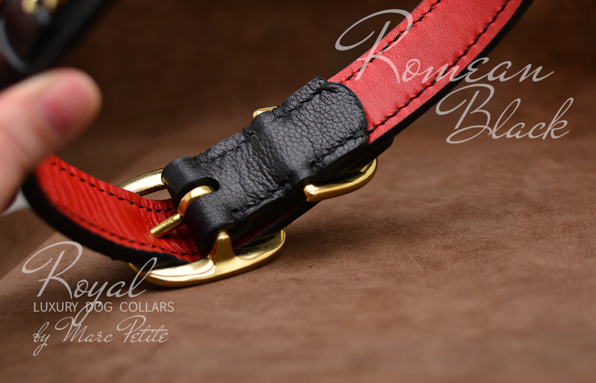 Designer Dog Collars by Marc Petite