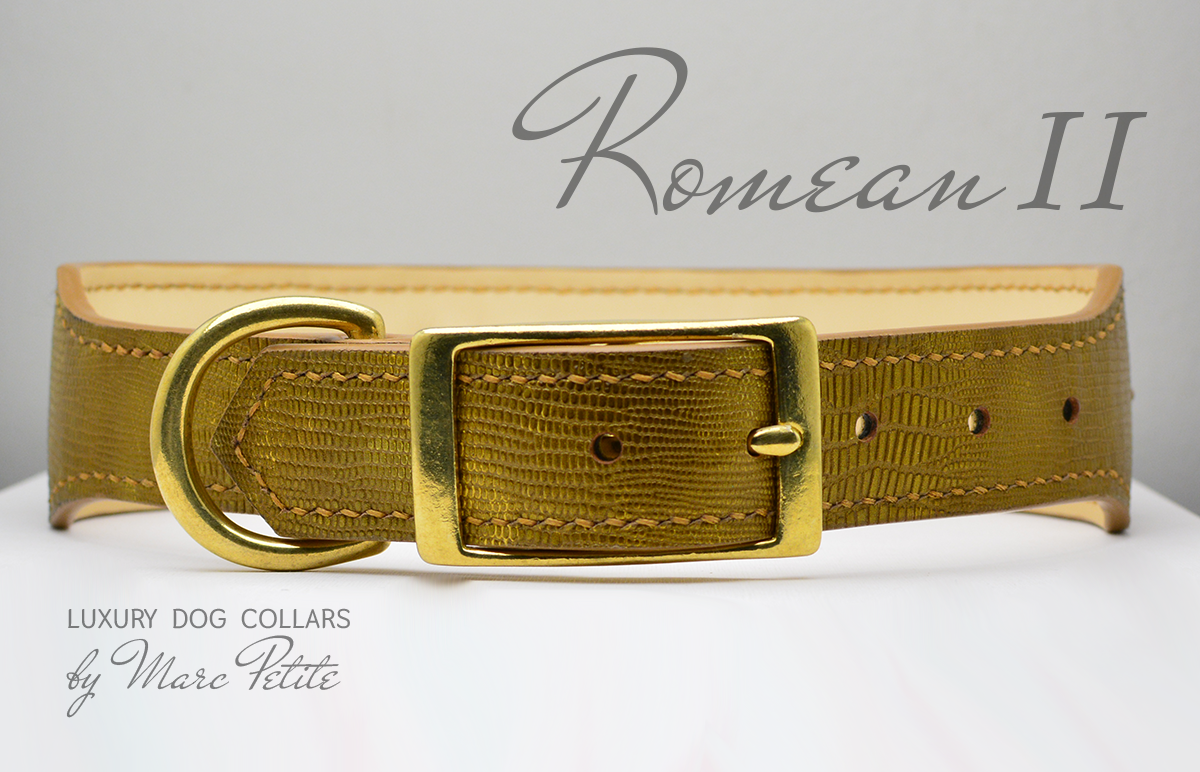 high end dog collar