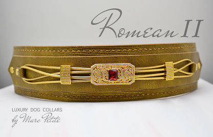 Luxury dog collar