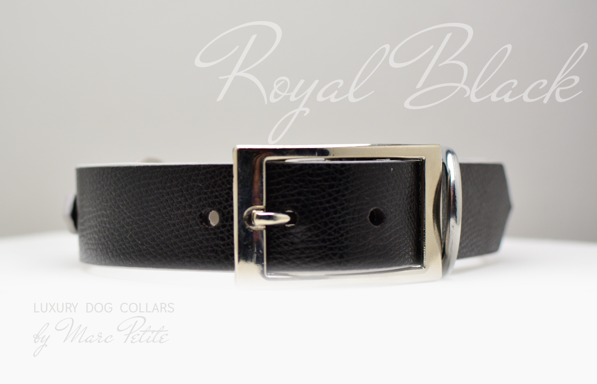 Black dog collar