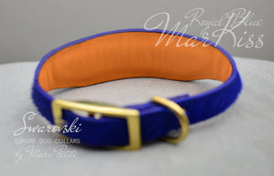 High end dog collar