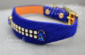 Designer Royal Blue Dog Collar