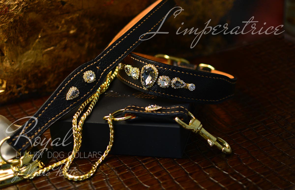 Splendid Dog Collar