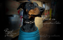 Load image into Gallery viewer, Doberman dog collars