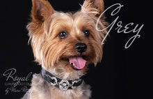 Load image into Gallery viewer, Yorky Dog Collar