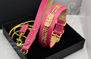 Luxury dog collar and matching leash