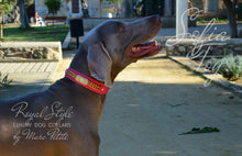 Load image into Gallery viewer, Desginer Dog Collar