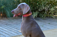 Load image into Gallery viewer, Luxury Dog Collars